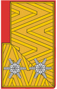 Abzeichen