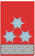 Abzeichen