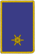 Abzeichen